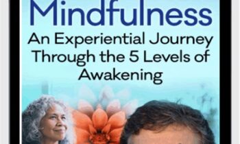 Effortless Mindfulness - Loch Kelly