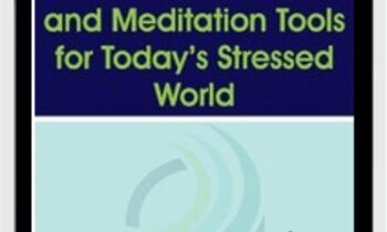 Essential Mindfulness and Meditation Tools for Todays Stressed World - Donald Altman
