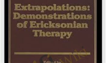 Extrapolations: Demonstrations Of Ericksonian Therapy - Stephen R. Lankton