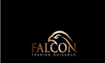 Falcon Trading Guidance - Falcon FX Pro