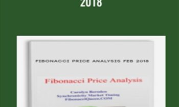 Fibonacci Price Analysis Feb 2018 - Carolyn Boroden