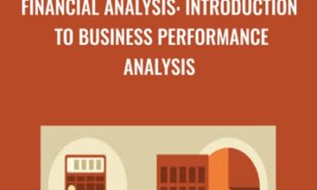 Financial Analysis: Introduction to Business Performance Analysis - Rudolph Rosenberg