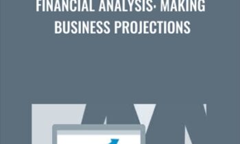 Financial Analysis: Making Business Projections - Rudolph Rosenberg