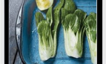 Food Photography