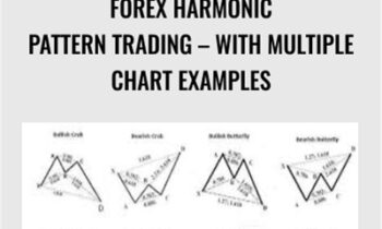 Forex Harmonic Pattern Trading-With Multiple Chart Examples - Luciano Kelly