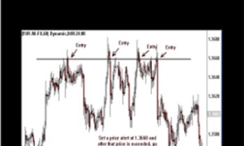 Seth Gregory - Forex Mentor
