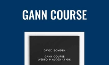 Gann Course (Video and Audio 1.1 GB) - David Bowden
