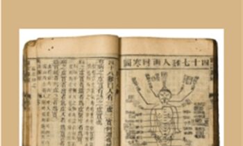 The Arcturian Codex - Gene Ang