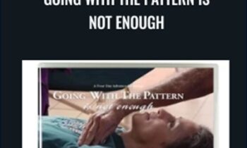 Going With the Pattern Is Not Enough (for feldenkrais practitioners) - Jerry Karzen