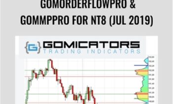 GomOrderFlowPro and GomMPPro for NT8 (Jul 2019) - Gomicators