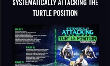Systematically Attacking the Turtle Position - Gordon Ryan