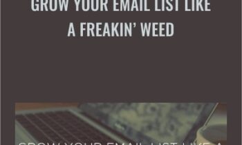 Grow Your Email List Like A Freakin Weed - David Siteman Garland