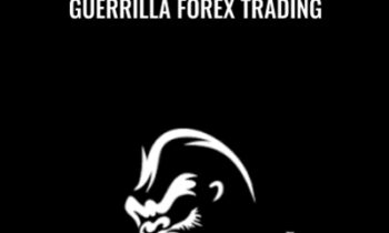 Guerrilla Forex Trading - Joshua Bunker