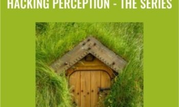 Hacking Perception -The Series - Joseph Riggio