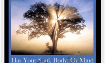 Has your soul