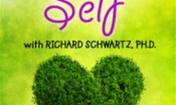 Healing Self: Going Beyond Acceptance to Self-Compassion - Richard C. Schwartz