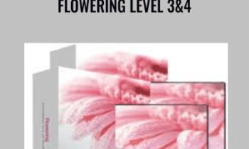 Flowering Level 3and4 - Holosync