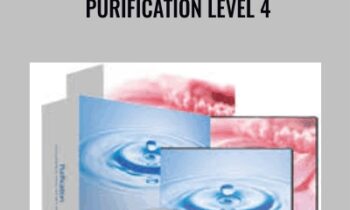 Purification Level 4 - Holosync