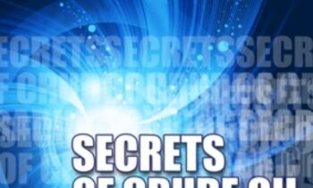 How Programs Trade Crude Oil - Crude Oil Secrets