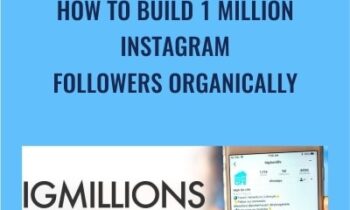 How To Build 1 Million Instagram Followers Organically - IG Millions