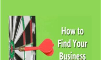 How to find your business niche - Alex Genadinik