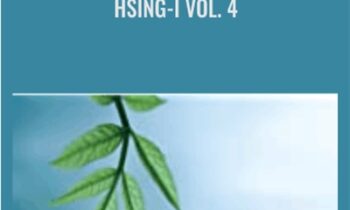 Hsing-I vol.4 - BKF - Bruce Kumar Frantzis