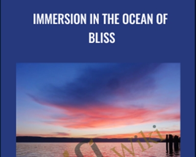 Immersion in the ocean of bliss - Kenji Kumara