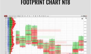 Footprint Chart NT8 - Indicatormall