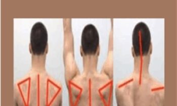 Inner Circle -Assessing Scapular Position - Mike Reinold
