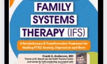 Internal Family Systems Therapy (IFS) - Frank G. Anderson