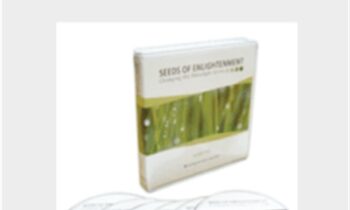 Seeds of Enlightenment - Jeddah Mali