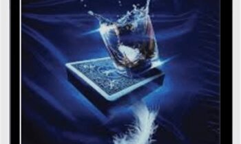 Equilibrium - Jesse Feinberg