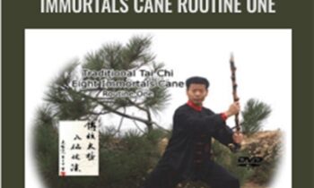 Traditional Tai Chi Eight Immortals Cane Routine One - Jesse Tsao