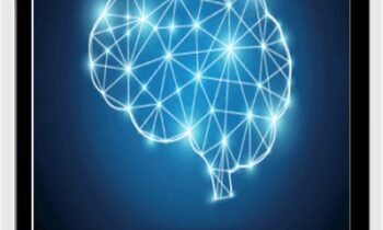 Rewire the Brain for Success - Jo Dunning