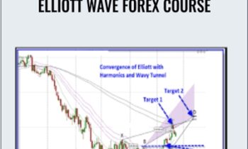 Elliott Wave Forex Course - Jody Samuels