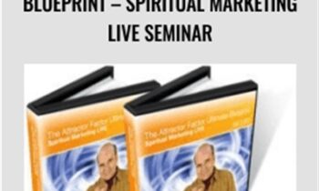 The Attractor Factor Ultimate Blueprint-Spiritual Marketing LIVE Seminar - Joe Vitale