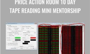 Price Action Room 10 Day Tape Reading Mini Mentorship - Joel Parker