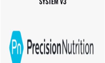 Precision Nutrition System V3 - John Berardi