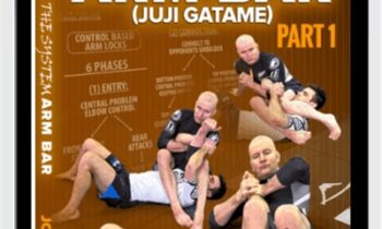 Enter The System Arm Bar - John Danaher