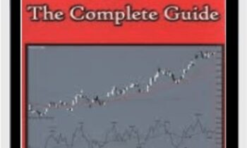 RSI. The Complete Guide - John Hayden