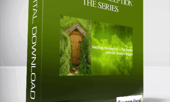 Joseph Riggio - Hacking Perception - The Series