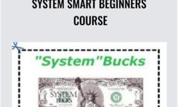 System Smart Beginners Course - Ken McCarthy