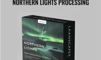 Northern Lights Processing - Laanscape