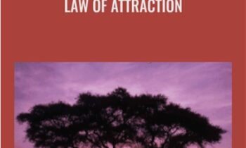 Law of Attraction - Abraham-Hicks