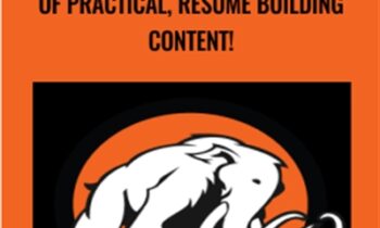 Learn to code today! - 10 hours of practical