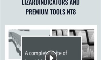 LizardIndicators and Premium Tools NT8 - LizardIndicators