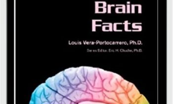 Brain Facts (Gray Matter) - Louis Vera-Portocarrero
