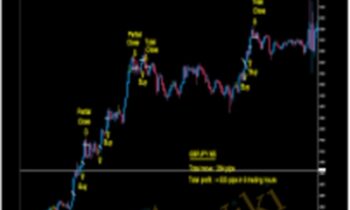 MAX Advanced Course - Maxtradingsystem