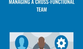Managing a Cross-Functional Team - Mike Figliuolo