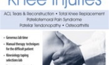 Manual Therapy